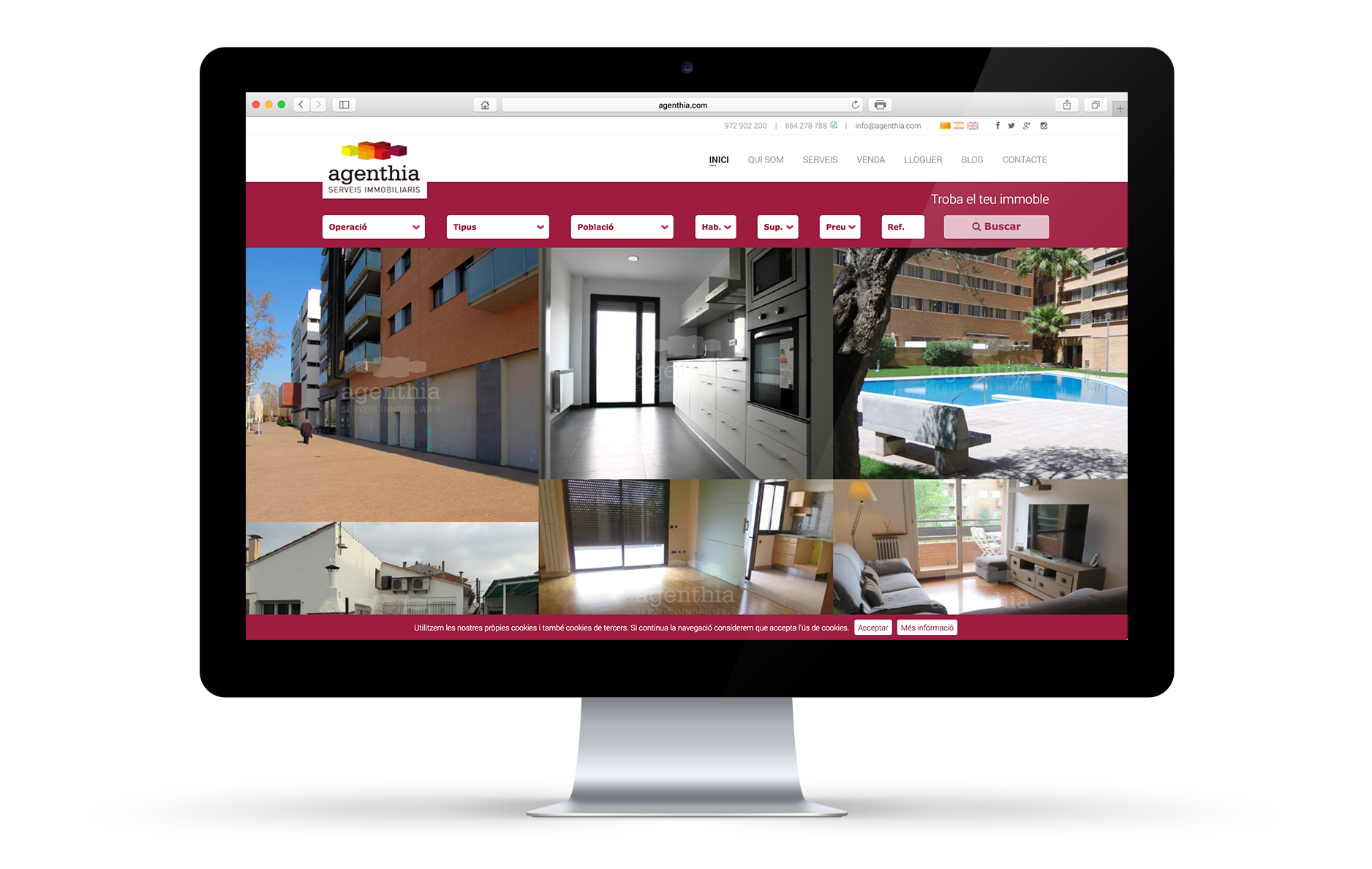 proyectos web